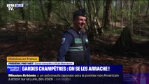 Garde champêtre, un métier méconnu et de plus en plus difficile à recruter