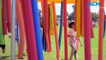 Tamworth Public School colour run
