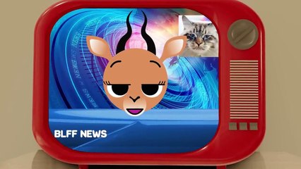 BOLOFOFOS: Mamãe, Eu Risquei o Sofá! 🎉 (4K)