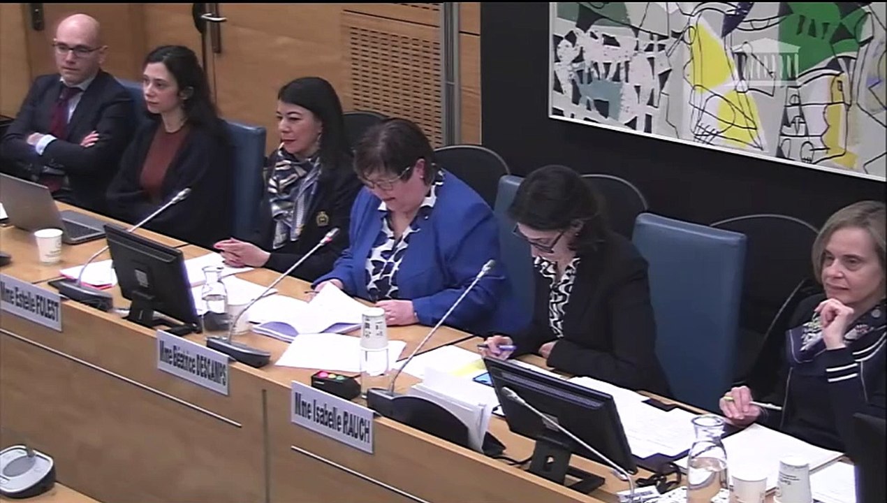 Commission des affaires culturelles : Enseignement supérieur privé à but lucratif - Mercredi 10 avril 2024