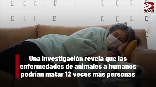 Una investigación revela que las enfermedades de animales a humanos podrían matar 12 veces más personas