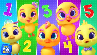 Five Little Ducks, Finger Family + More Animal Songs & Kids Rhymes