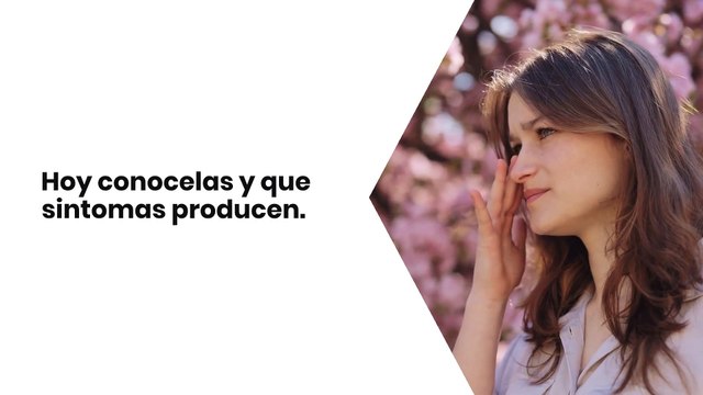 Top 5 alergias más comunes del mundo