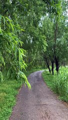 What Is the End of the Road? Discover Its Meaning 🚶‍♂️