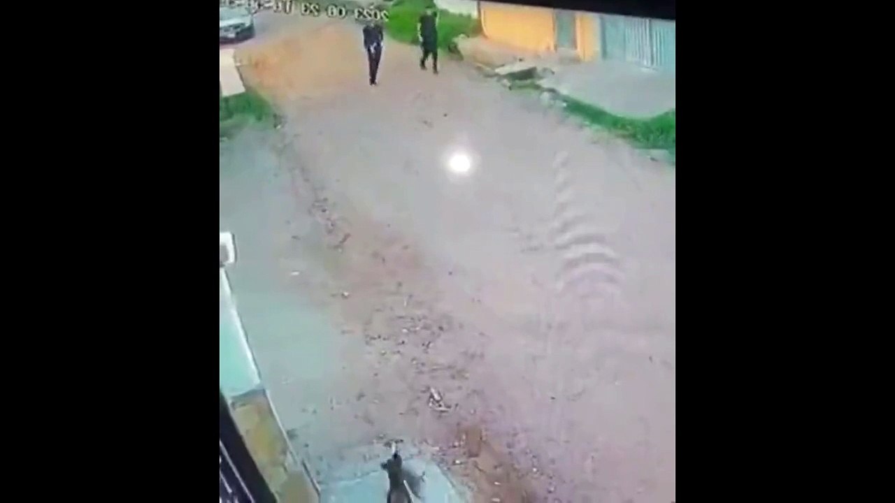 Derrière un petit chien il y a toujours un grand chien