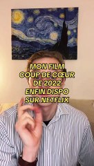 Mon coup de coeur de 2022 enfin dispo sur Netflix