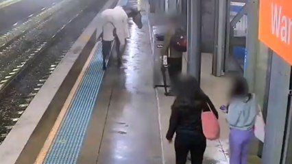 Runaway horse wanders onto train platform