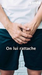 On lui rattache le penis 24 h après se l’être coupé lui-même