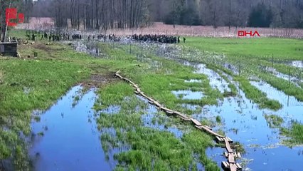 Polonya’da sınırı geçmeye çalışan 220 düzensiz göçmeni engellendi