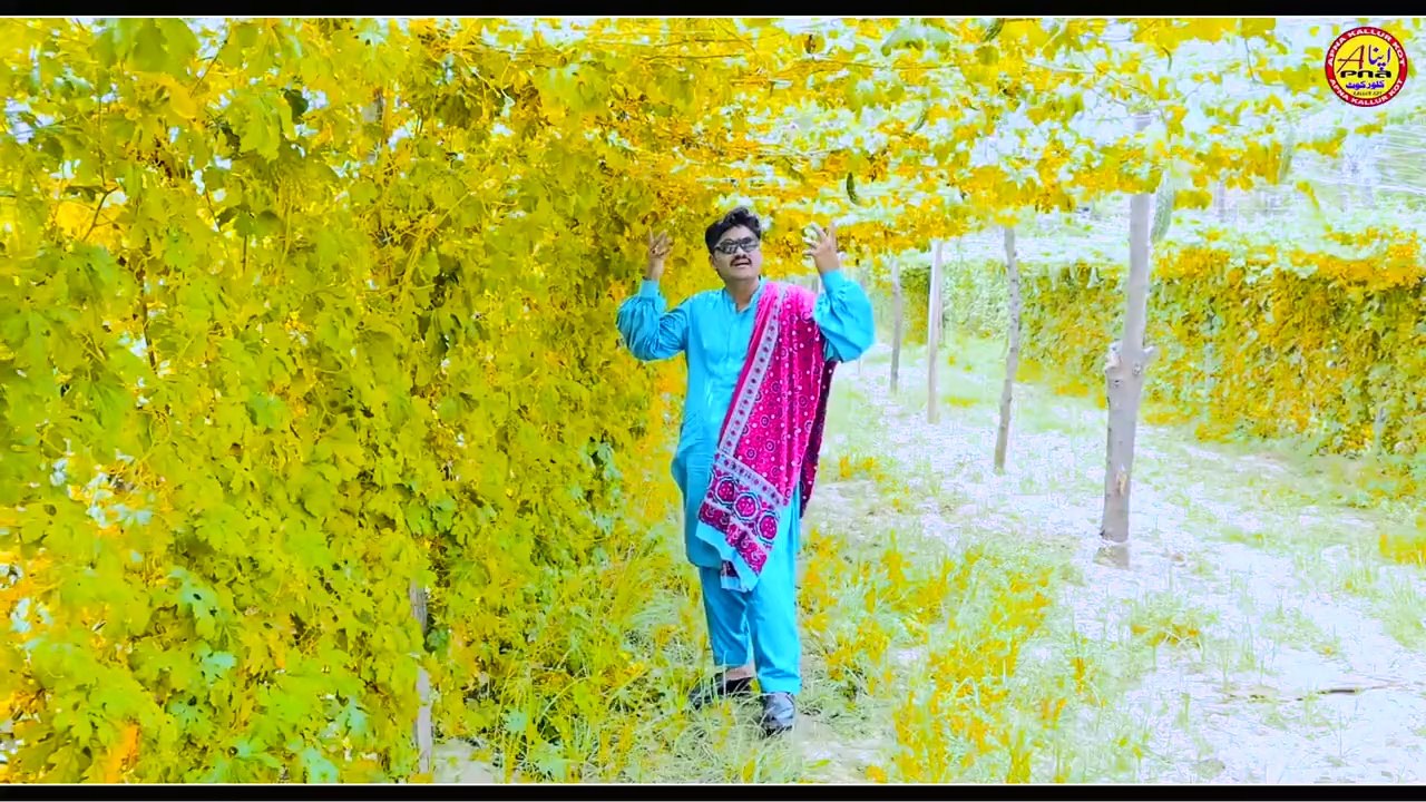 Nit De Jehre || Qurban Premi ||  Official Saraiki Song 2024