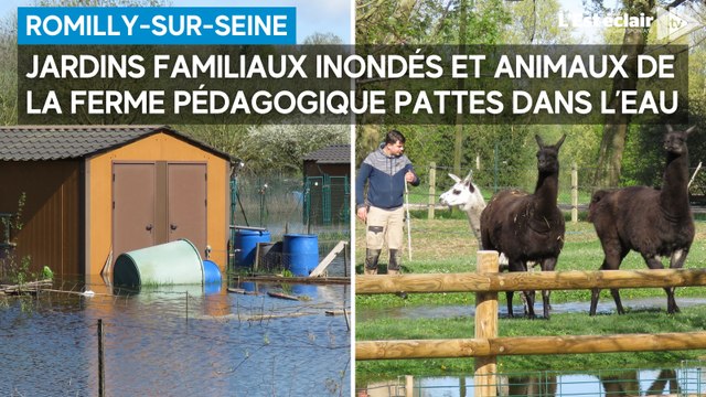 Inondations dans les jardins familiaux et à la ferme pédagogique de Romilly-sur-Seine