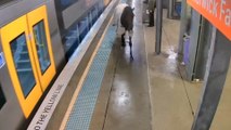 Un caballo se escapa y decide pasearse por el andén de una estación de tren