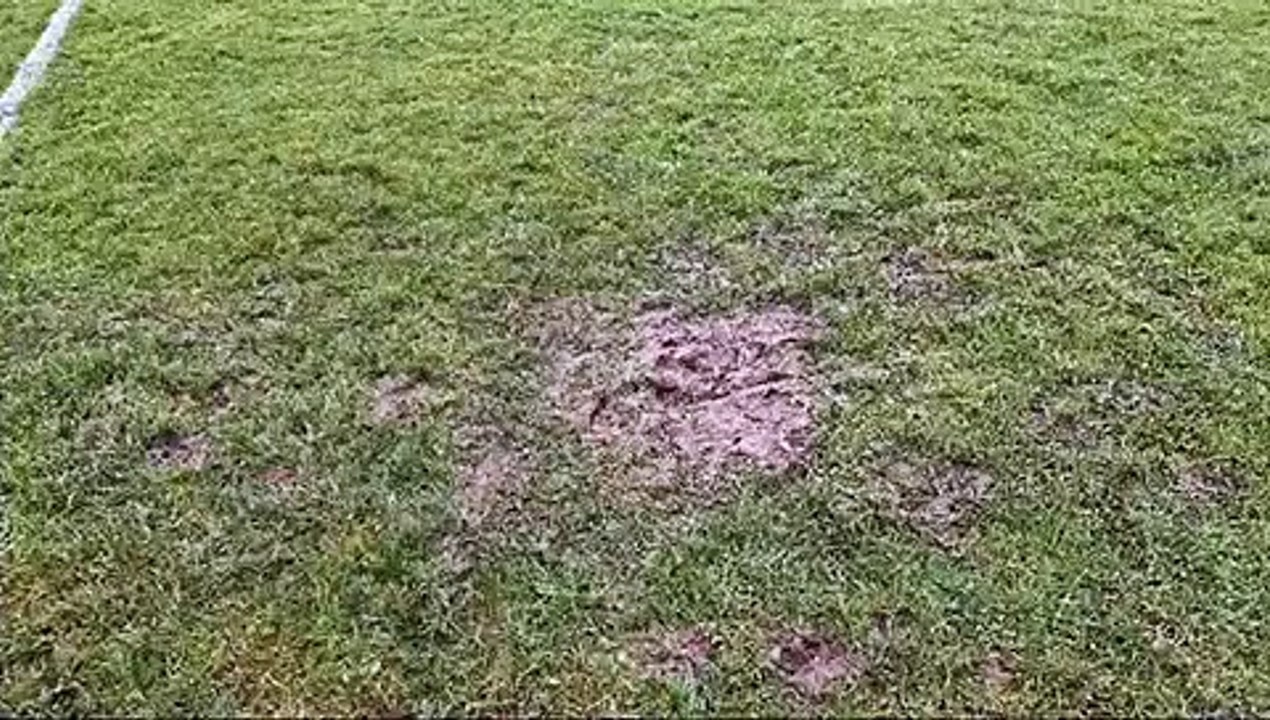 Gorebridge football pitches at Gore Glen