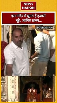 Karni Mata Mandir : इस मंदिर में घूमते है हजारों चूहें