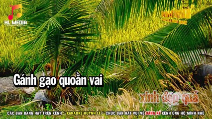 Áo Mới Cà Mau Karaoke ( Dây Đào ) 1 - 2 - 5 -6 | Beat Nữ Hay Chuẩn