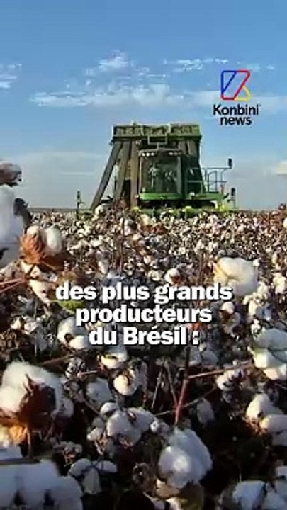 H&M et Zara accusés de "crimes de mode" | News