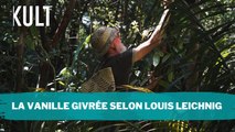 La vanille givrée selon Louis Leichnig