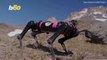 Robot Dogs in Space are More Fact than Fiction