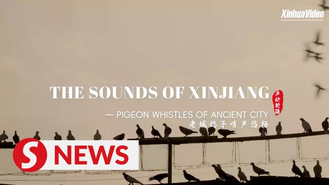 XINHUA: Pigeon whistles of Xinjiang's ancient city