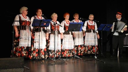 SDK Sławno - występy zespołów ludowych