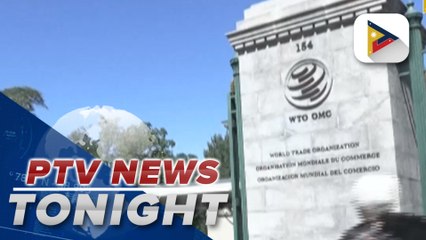WTO expects global goods trade to pick up in 2024