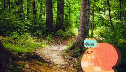 Die Schnecke - Gedicht eines Unbekannten