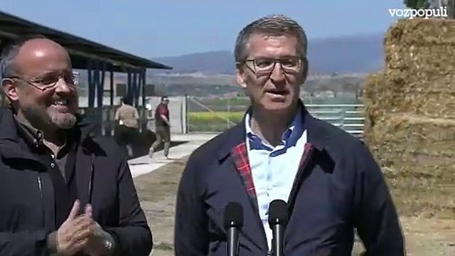 Feijóo sobre el sondeo del CIS: Cuanta más corrupción hay en el PSOE más sube en encuestas