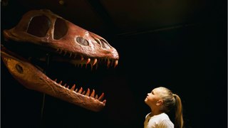 Neue Erkenntnisse über Dinosaurier dank Studie: Uralte Regel erweist sich als falsch