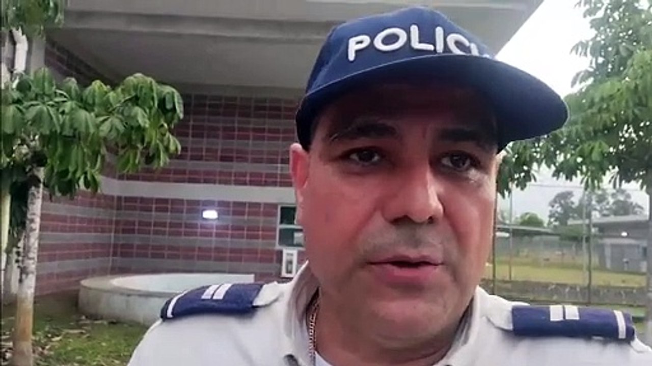 Declaraciones por decomiso de droga en madera
