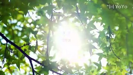 Don't Disturb Me Farming 12 Harvest a billionaire husband through farming! _ 别打扰我种田 _ ENG SUB