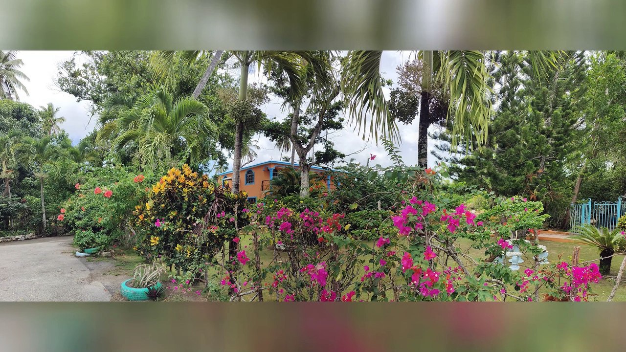 (132) DomRep Sehenswert 1 AUSWANDERN & Aktuelle Fotos/Videos aus der