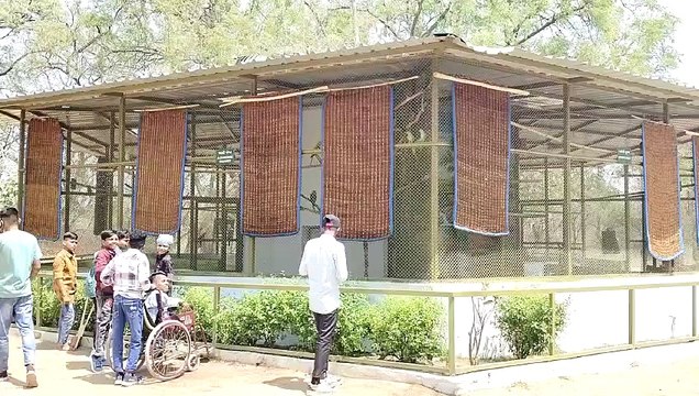 VIDEO: गर्मी से पशु-पक्षियों को बचाने को इन्द्रोडा पार्क में लगाए कूलर