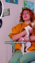 Le business des “petfluenceurs”: gagnez de l'argent avec vos animaux sur les réseaux