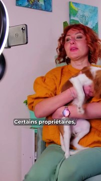 Le business des “petfluenceurs”: gagnez de l'argent avec vos animaux sur les réseaux