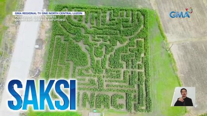 Kauna-unahang corn maze sa Region 1, ibinida sa foundation day ng Ilocos Norte Agricultural College | Saksi