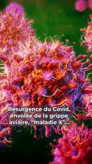 Maladie X, Covid, grippe aviaire… elles pourraient vous pourrir la vie les 5 prochaines années