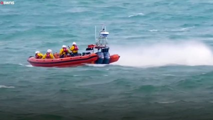 RNLI heroes rescue stranded humpback whale