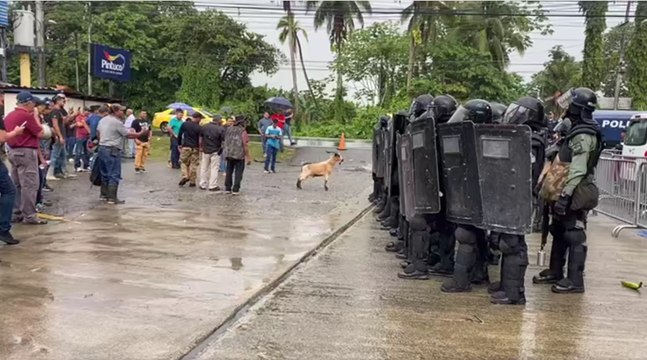 Productores en Bocas del Toro protestan contra invasores de tierra