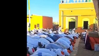 الشيخ محمد الشيخ ابراهيم ف صلاة العيد