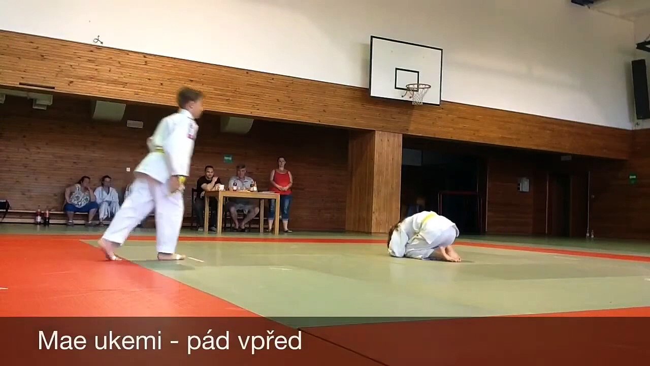 Judo - 03.06.2017