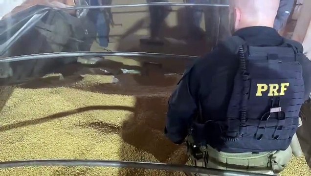 PRF apreende mais de 6 toneladas de maconha no Paraná, a maior apreensão do Brasil em 2024