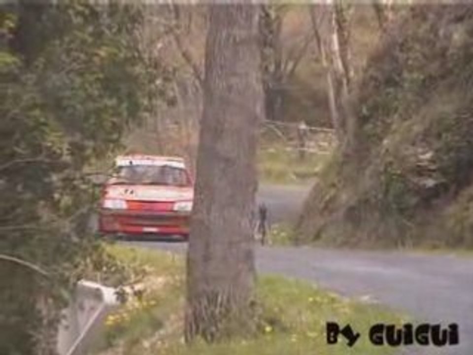 Rallye du VALLESPIR 2008