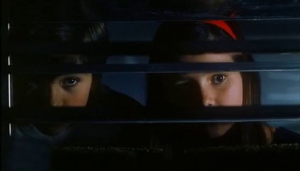 Pajarico (1997) Watch Online Movie