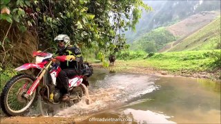 Vietnam Motorbike Tours Between Dreams & Handlebars, The Magic Of Existence | OffroadVietnam.Com