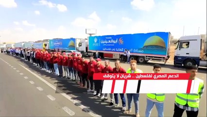 الدعم المصري لفلسطين.. شريان حياة لا يتوقف برغم العراقيل والقيود والقصف الإسرائيلي