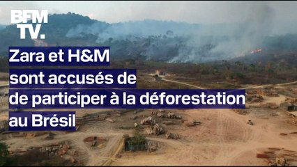 Zara et H&M sont accusés par une ONG de participer à la déforestation au Brésil