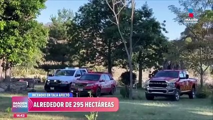 Incendio en Tala afectó alrededor de 295 hectáreas | #ImagenNoticiasGDL con #FabiolaAnaya