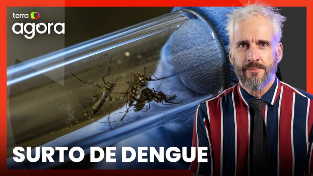 Outono deve favorecer redução nos casos de dengue apesar de ano atípico, diz assessora