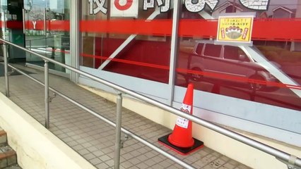 Respect For Swallows in Japan