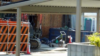 Land Cleansing Ceremony in Japan